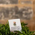 Manifest Boutique Oitylo