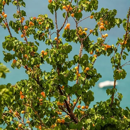 Manifest Boutique Hotel Étilo