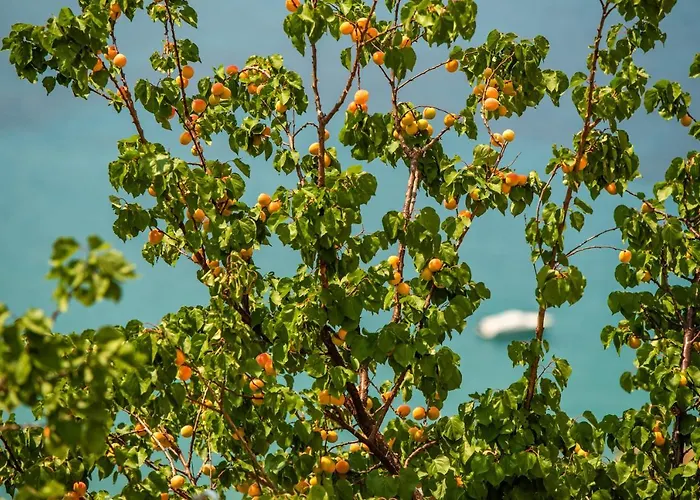 Manifest Boutique Hotel Étilo